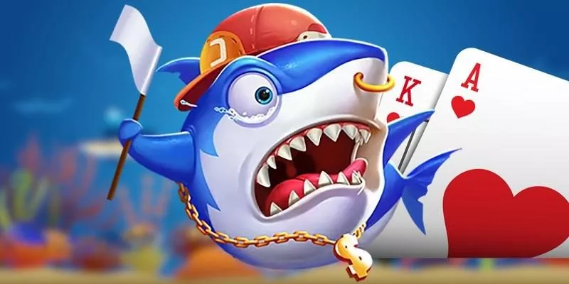 Quy trình cá 5 sao tại MAY88 – Đơn giản, nhanh chóng và minh bạch